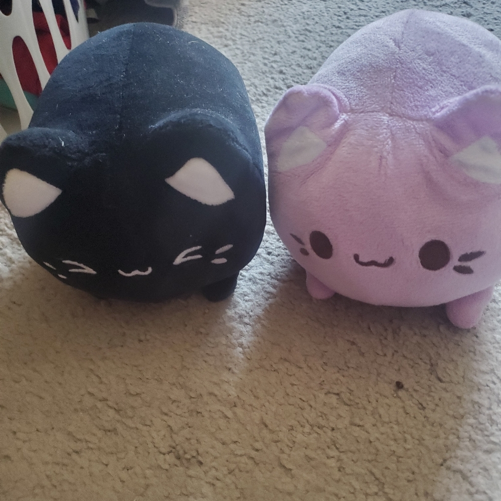 Meowchis